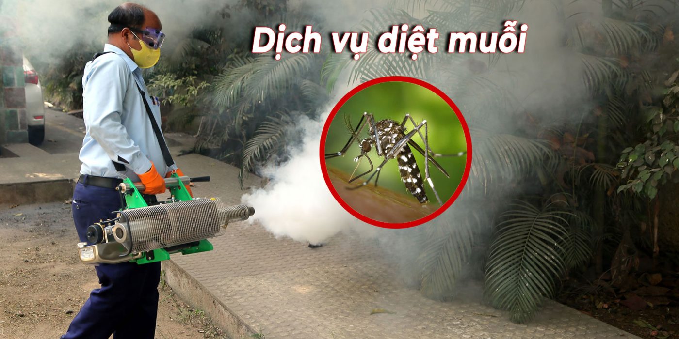 Công Ty Cổ Phần Trừ Mối Khử Trùng Hà Nội